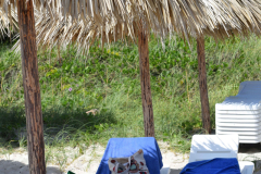 DSC_0278