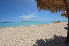 GOPR0021